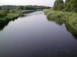 C4.jpg (9556 バイト)