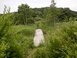 J1.jpg (14415 バイト)