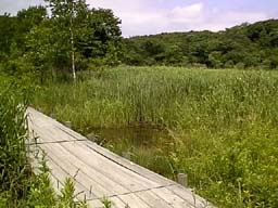 J2.jpg (15025 バイト)