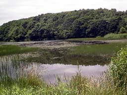 J3.jpg (12707 バイト)