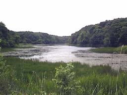 j4.jpg (9378 バイト)