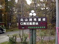 toumi1.jpg (18643 バイト)