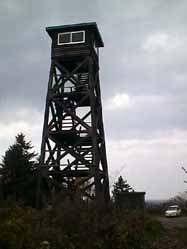 toumi4.jpg (12198 バイト)